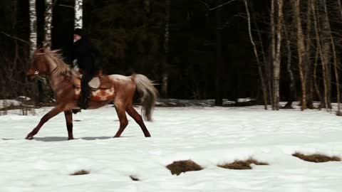 female cowboy rides a horse at a gallop in winter