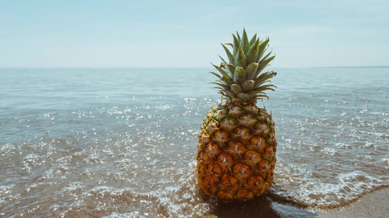 Pineapple Song