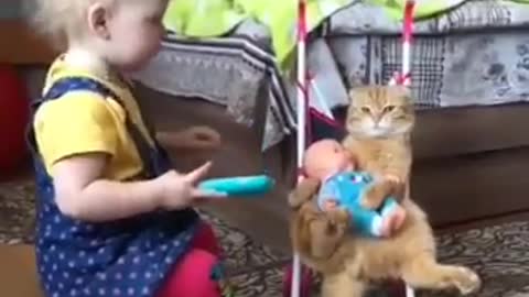 Cool cat :)