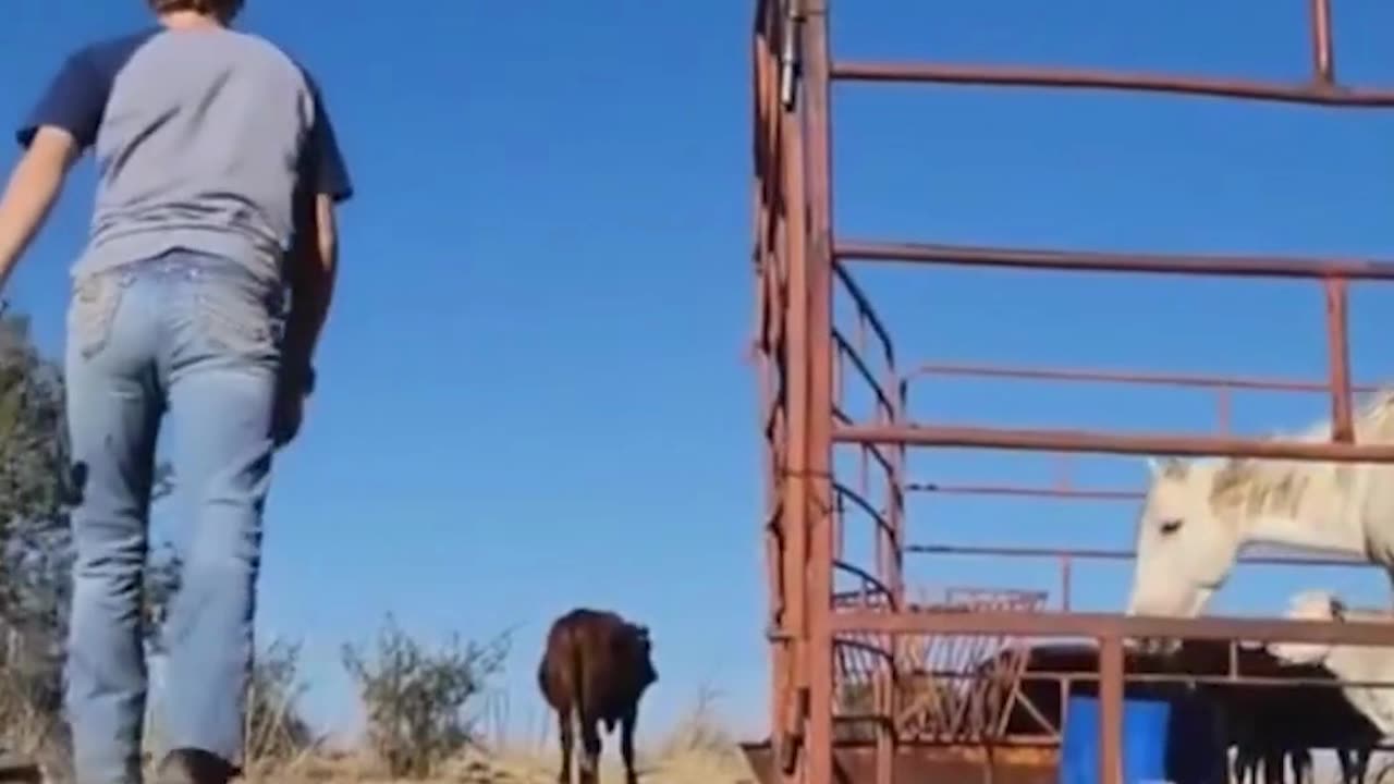 The end 😂😂😂 #funny #fails #viral #justlaughfolder