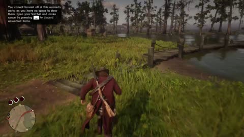 Let's Go Ride a horse