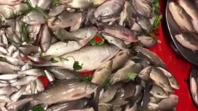 Amazing fish market | River fish | seafood | fish| Fishing