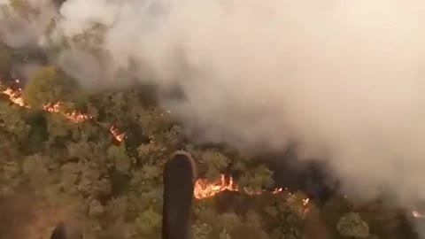 In Slovenia, amid record heat, forest fires have been extinguished for a week