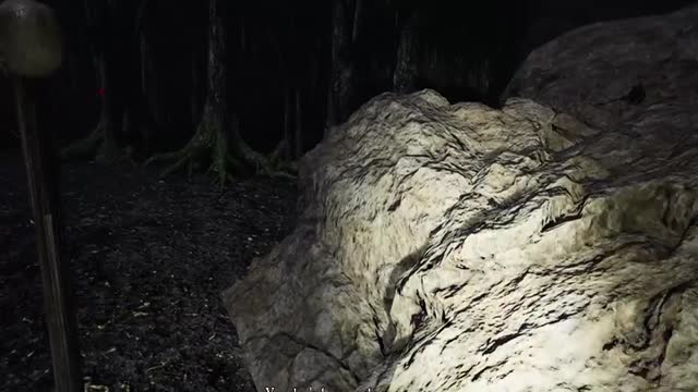 Pacify Pt.7-Forest(Twitch-tmangaming91)