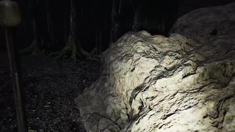 Pacify Pt.7-Forest(Twitch-tmangaming91)