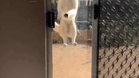 open the door