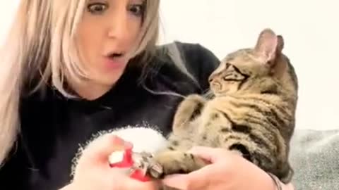 New cat videos best for ever #cat