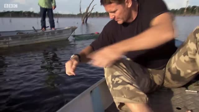 Vicious Piranha Moments | BBC Earth