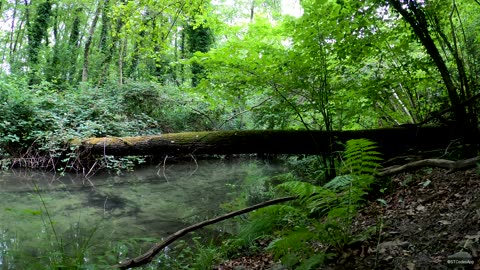 Beautiful places to Watch episode 4