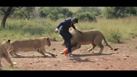 soccer with lion
