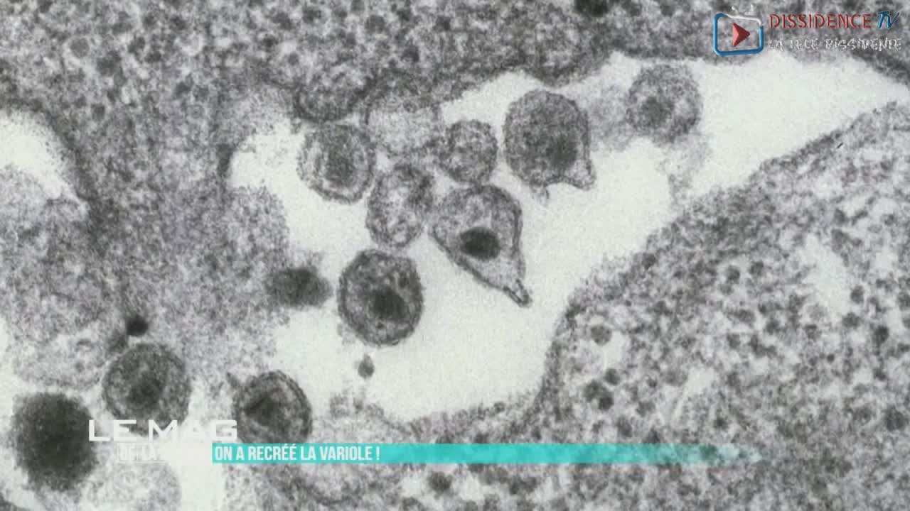 On a recréé la Variole - Le Mag de la science