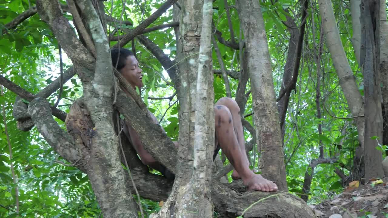 Shrimp eating in jungle, cooking on a rock | Primitive Wildlife-3