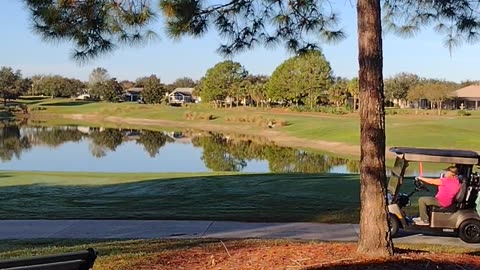 Tuesday Morning Walk in the Belvedere section of The Villages Fl