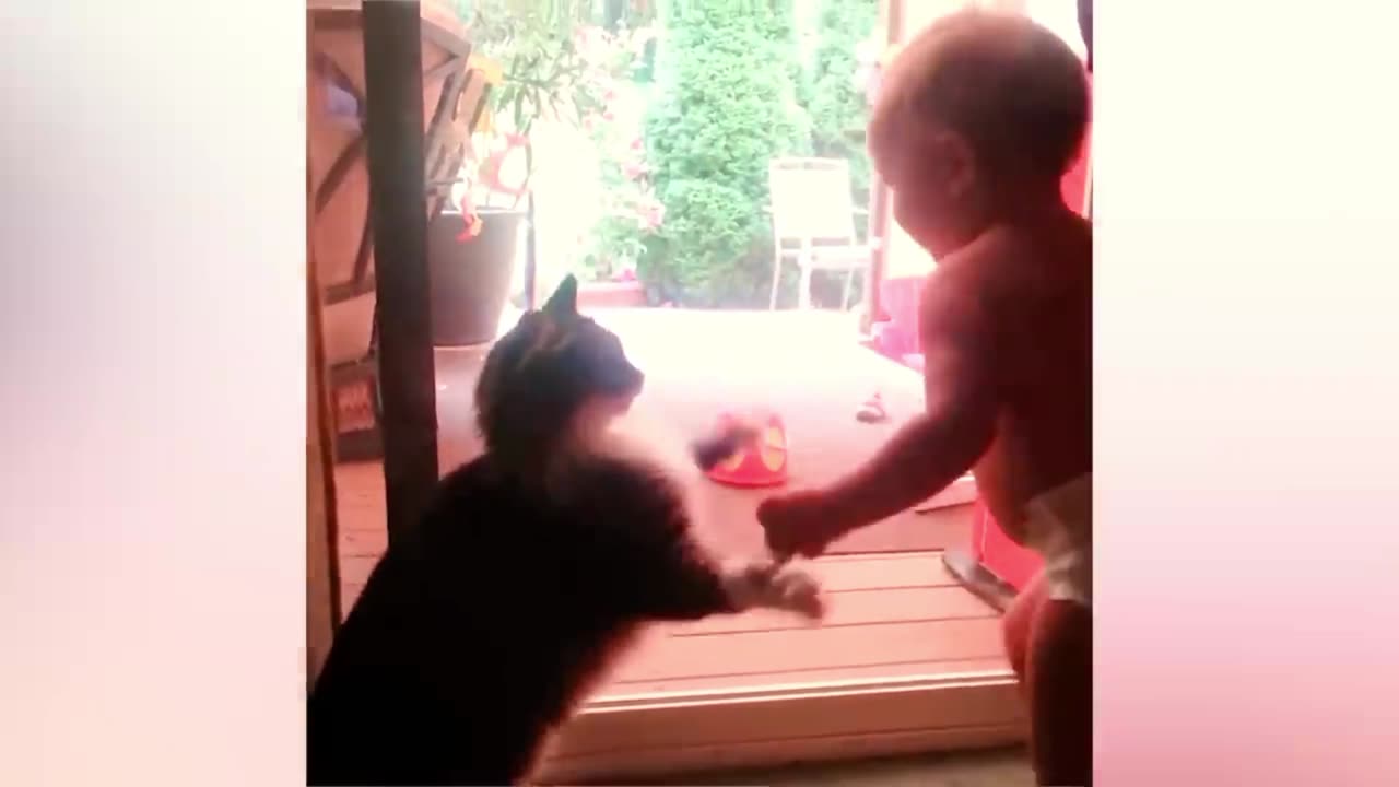 Cute cats and funny babies happy moments