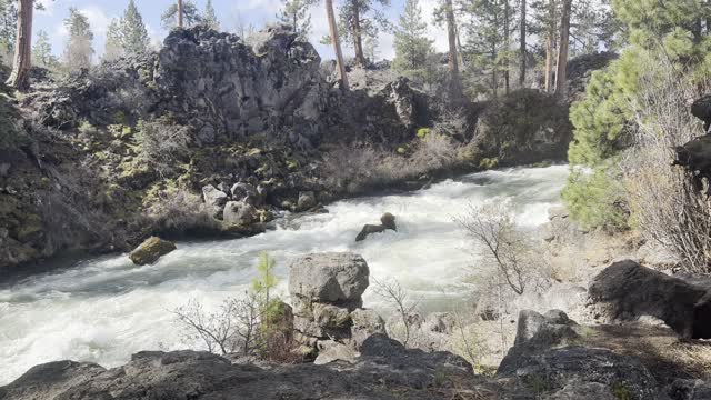 Truly Incredible Volcanic River Wonderland – Dillon Falls – Deschutes River Trail – 4K