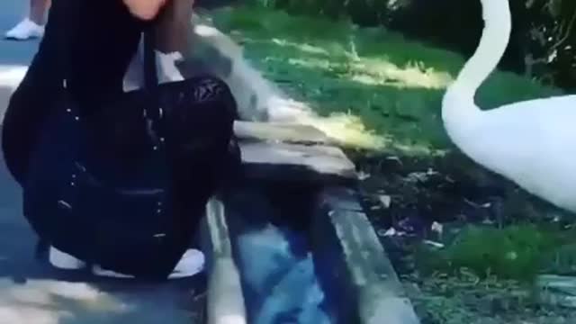 You will laugh a lot after watching this video