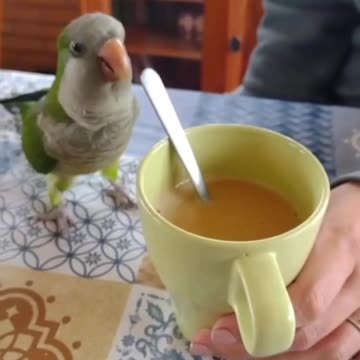 Every morning stirring stirring stirring !! 😂😂