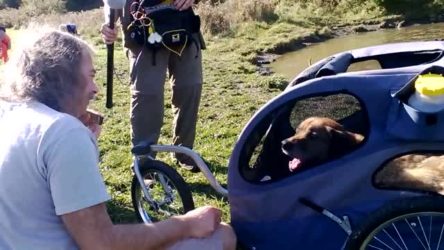 Dog Mountain Singing Dog