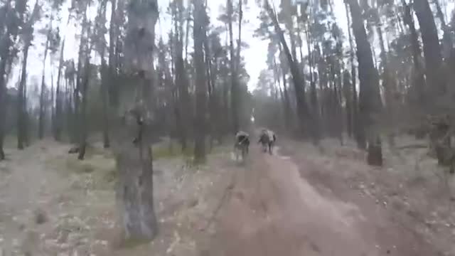 💢 Ukrainian fighters bolt in horror after a shot rang out from an unknown direction