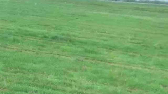 Field mowing