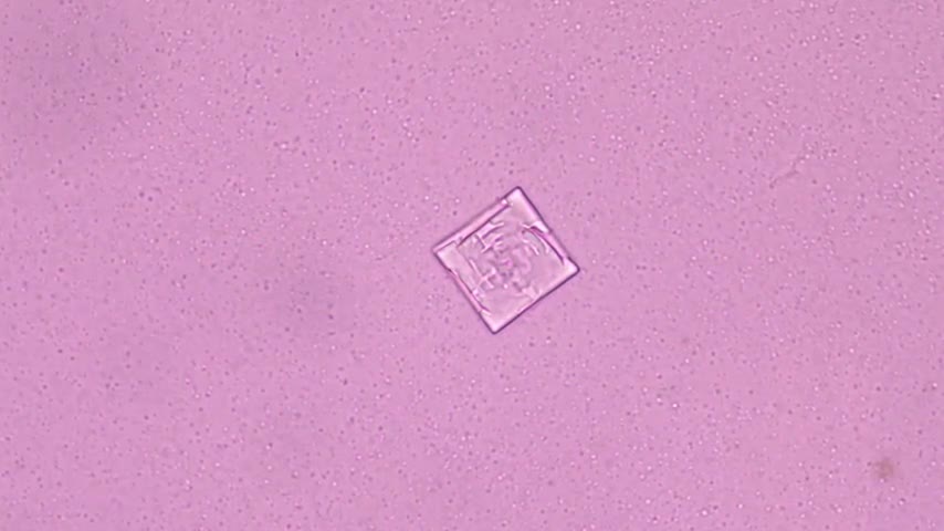 COV/COR Dokumentation