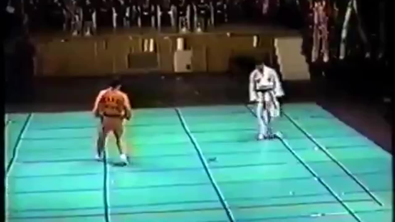 Korea Hapkido Association Demonstration 1993