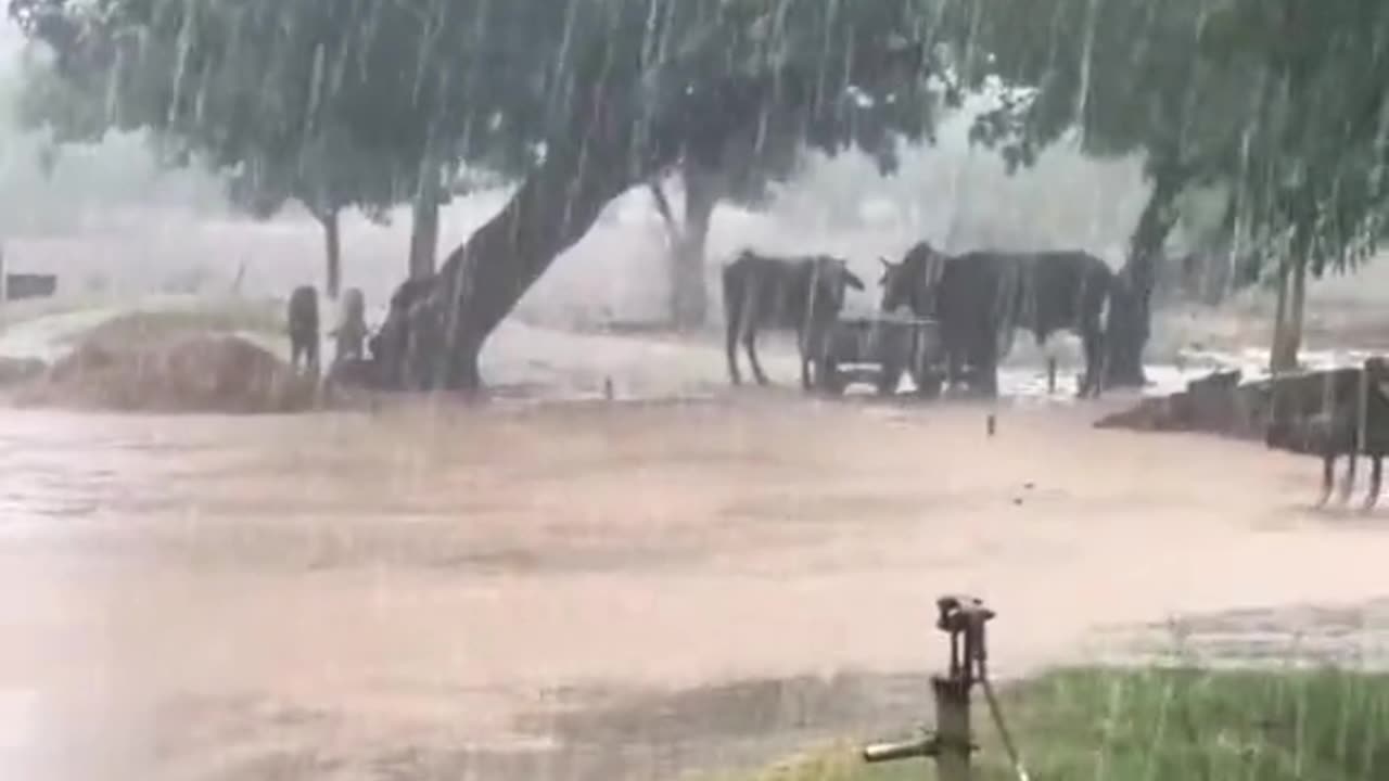Village life