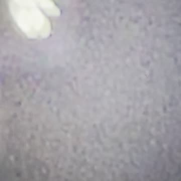 Went to church did what I had TO DO 😂