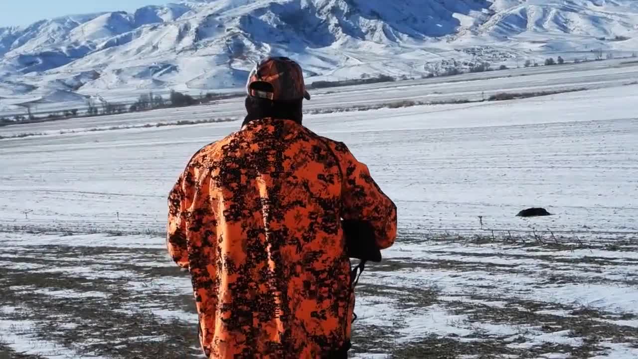 TOP WINTER HUNTING ADVENTURES - EN İYİ KIŞ DOMUZ AVI MACERALARI