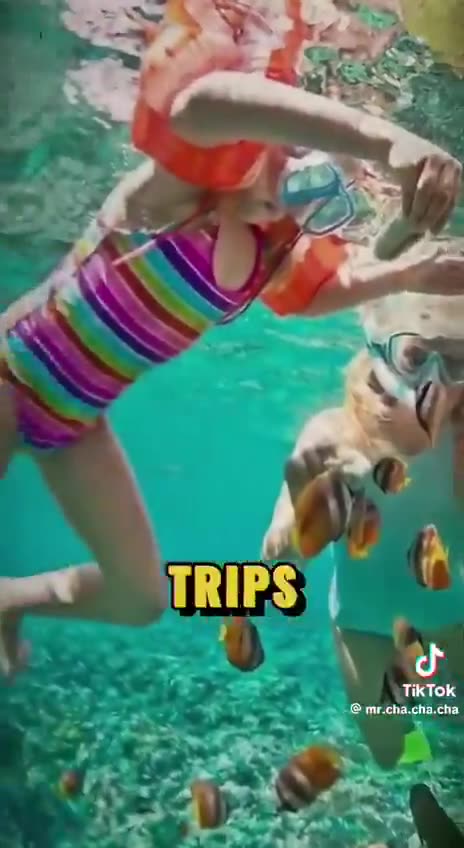 Children taken from "Disney" to... Epstein's Island, when Epstein was alive