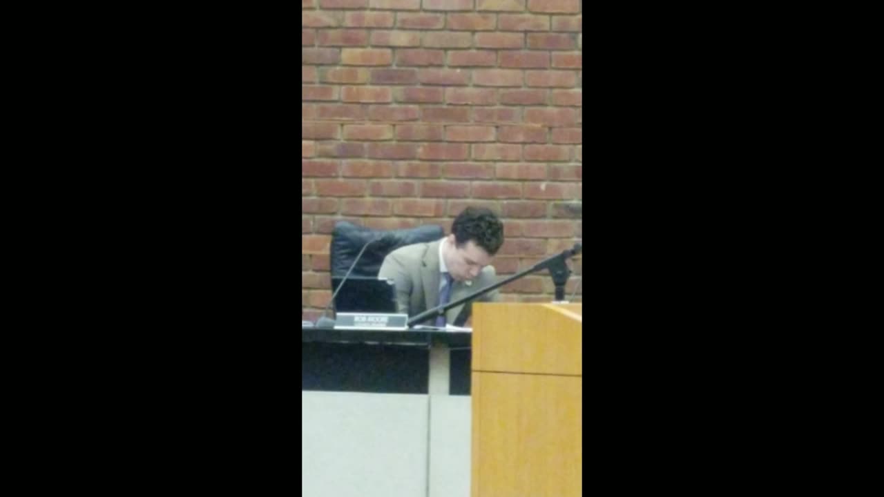 Silicon Valley, Town Council Meeting, Young Rob Eats