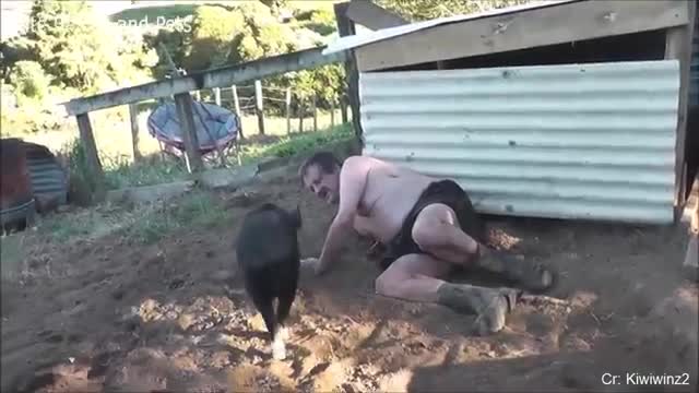 COMPILATION funny animal videos 2021