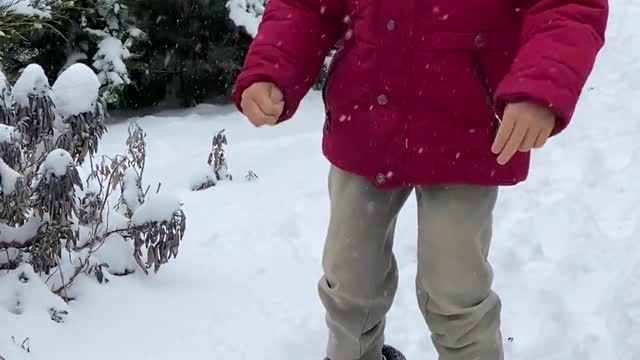 cute puppies are playing with child and enjoying snow fall.