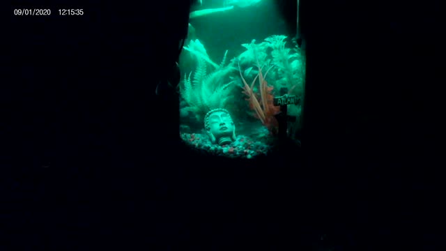 The mediation area presents: Fish tank ambient.