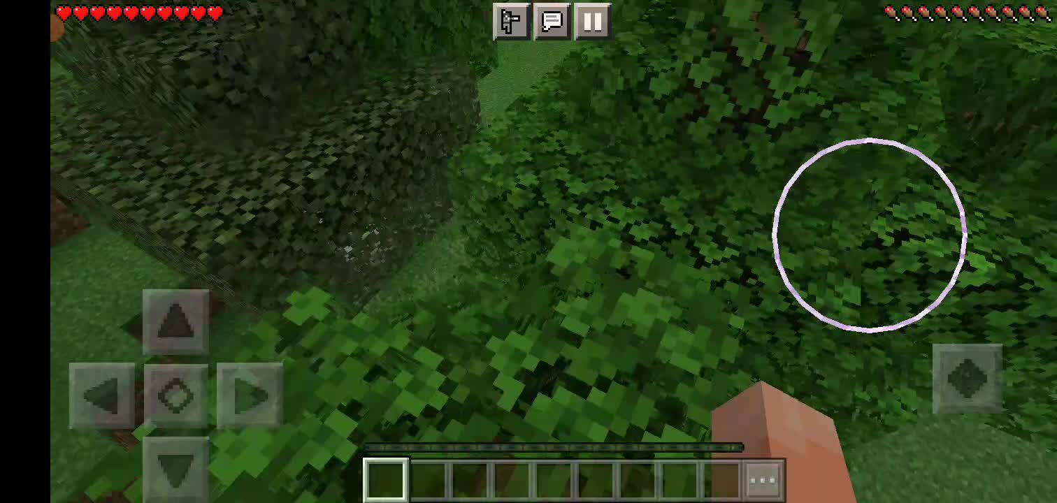 survival in Minecraft Pe