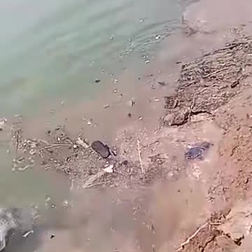 The love of selfie sometimes leads to death