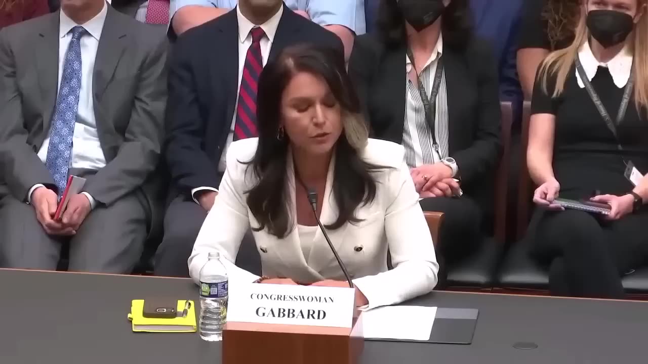 I Took An Oath To Support & Defend The Constitution Tulsi Gabbard