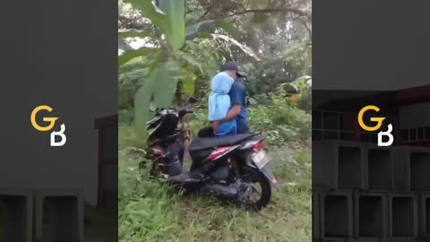 Kumpulan vidio lucu bikin ngocok perut