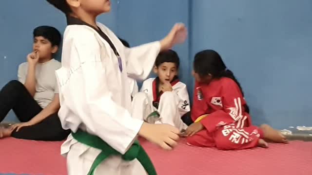 Taekwondo Training Session