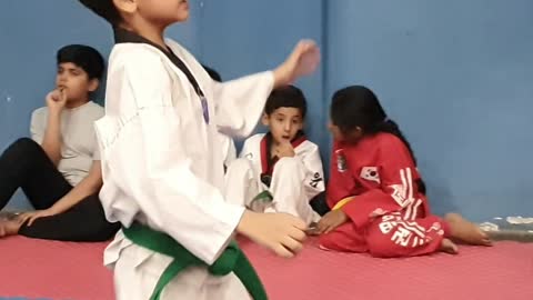 Taekwondo Training Session