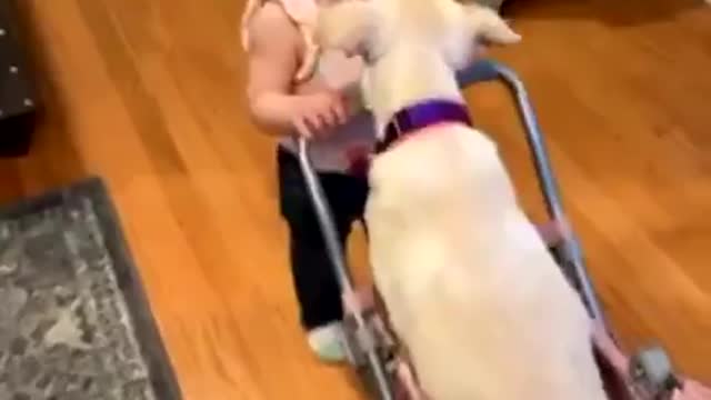 When the cuteness is just too much