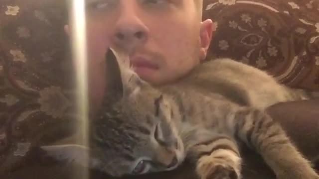 Kitten jumps up in surprise at hearing cat sounds