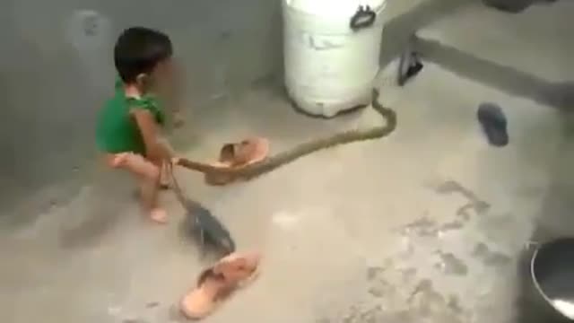 niño juega con serpiente