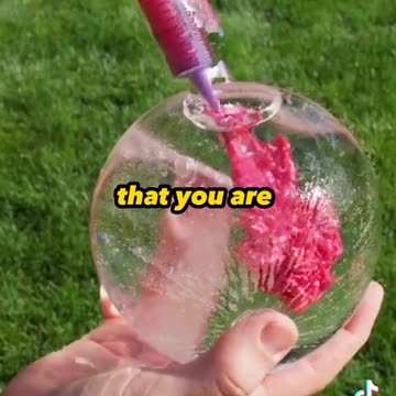 Curiosities that will impress you