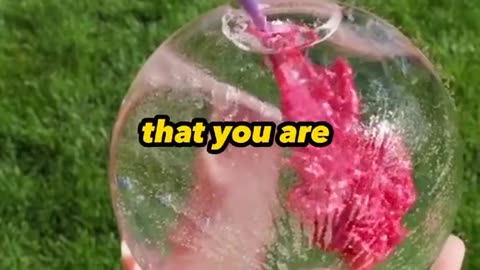 Curiosities that will impress you