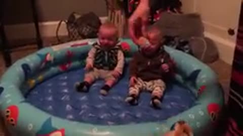 Pomeranian Puppy Makes Twin Babies Laugh