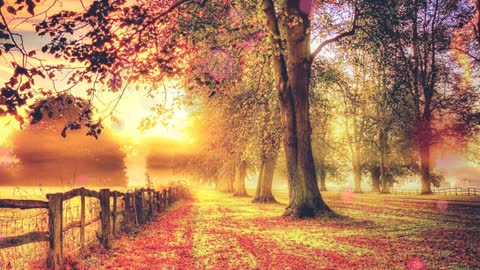Great Relaxing Music • Stress Relief & Meditation,