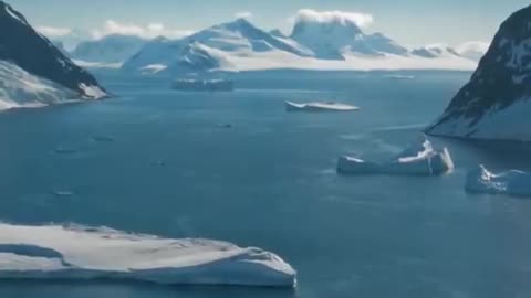 How to be home 🏡🏡 to get a new job 😀 to get rid