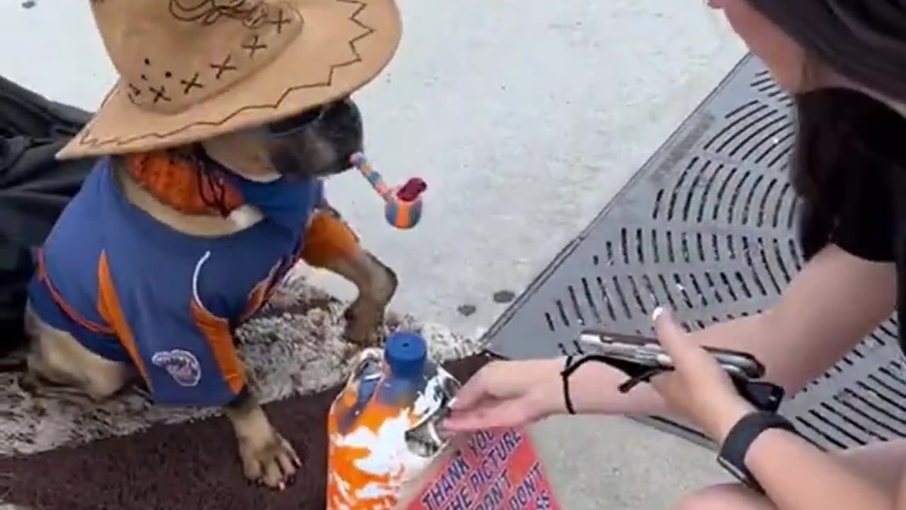 Dog gives High-Fives for a DOLLAR!🤩 #viral #trending #shorts