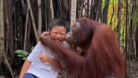 See this monkey what did to this boy